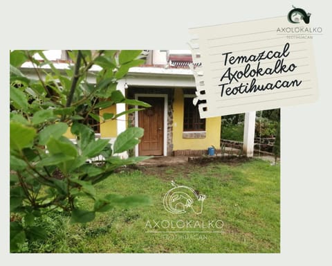 Property building, Garden view