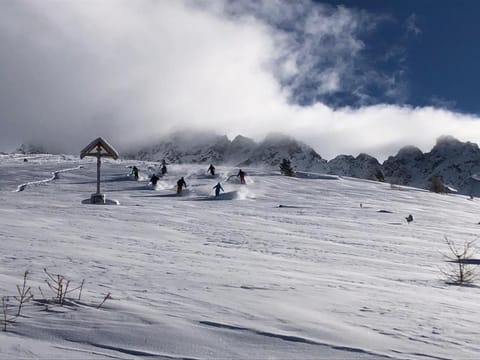 Natural landscape, Winter