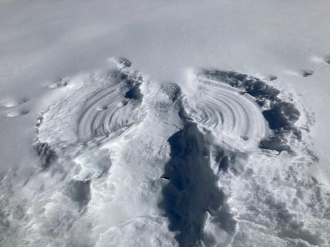 Natural landscape, Winter