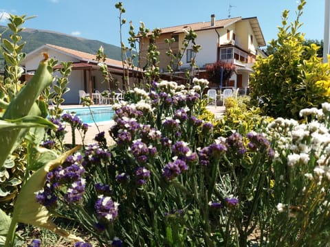 Summer, Garden, Swimming pool, Swimming pool