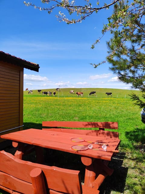 #MazuryWildLife House in Lithuania