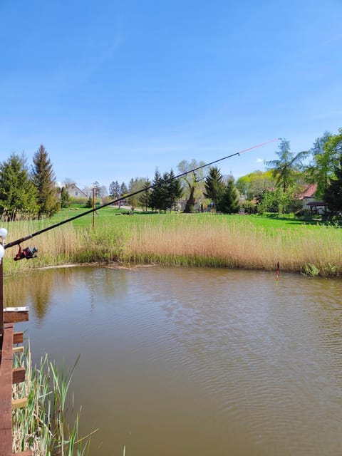 #MazuryWildLife House in Lithuania