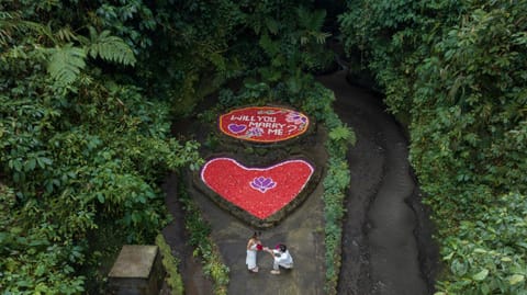 Natural landscape, Activities