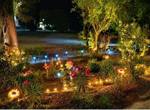 Summer, Garden, Garden view