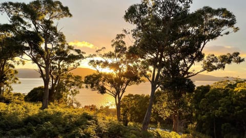 Natural landscape, View (from property/room), Sea view, Sunrise, Sunset