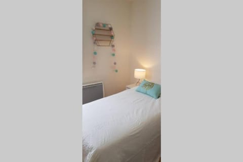 Le Gite de Myla au pied du Château Royal d'Amboise Apartment in Amboise