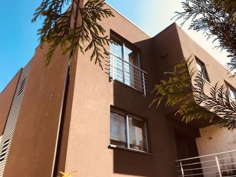 Property building, Day