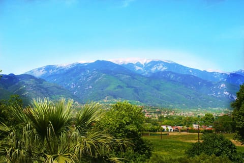 VILLA BORA Apartment hotel in Pieria, Greece