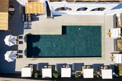 Property building, Swimming pool, sunbed