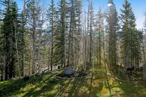 Cascade 347 Apartment in Colorado