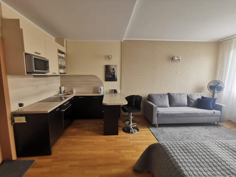 My Old Town Bridge Apartment in Klaipėda