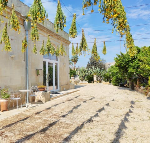 Spring, Garden, Garden view