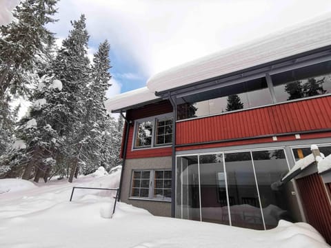 Kärpänpesä B House in Lapland