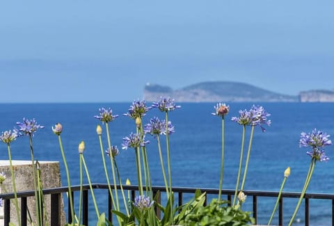 Nearby landmark, Mountain view, Sea view