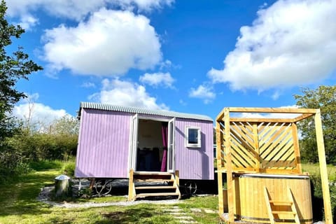 Lilac Tree Hut House in Wales