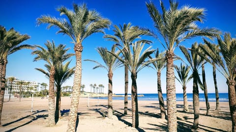 Beach, Sea view