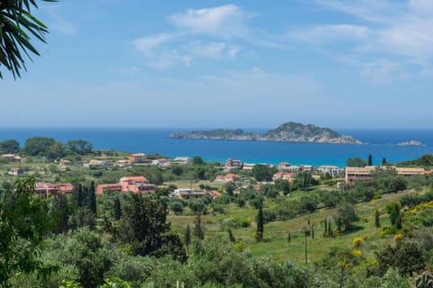 Neighbourhood, Sea view