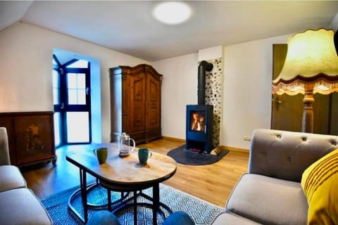 Fewo Eifel Dahlem Nationalpark Sonnenterrasse & Kamin Apartment in Vulkaneifel