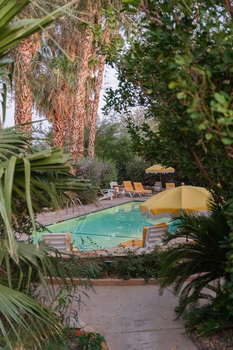 Spring, Hot Spring Bath, Garden view, Pool view, Swimming pool