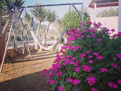 Garden, Garden view