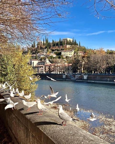 Nearby landmark, Spring, Day, Natural landscape, City view, River view