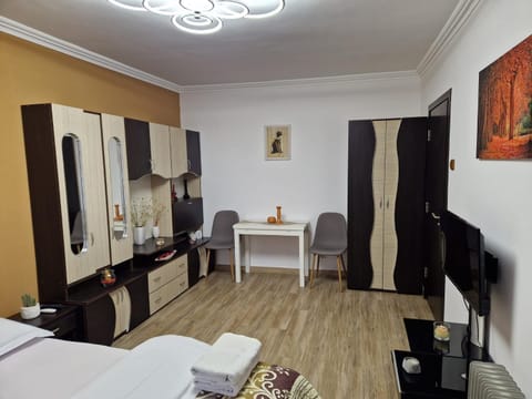 Garsoniera Apartment in Serbia