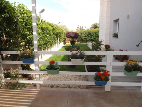 Garden view