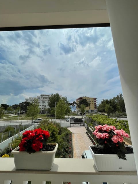 Garden, Sea view, Street view