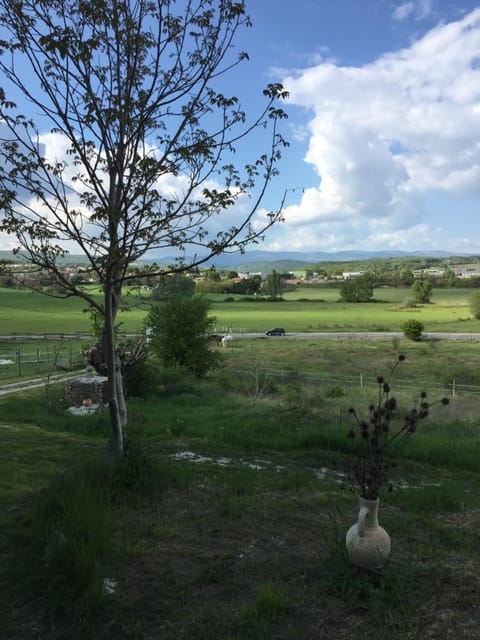 Le petit chalus Apartment in Forcalquier