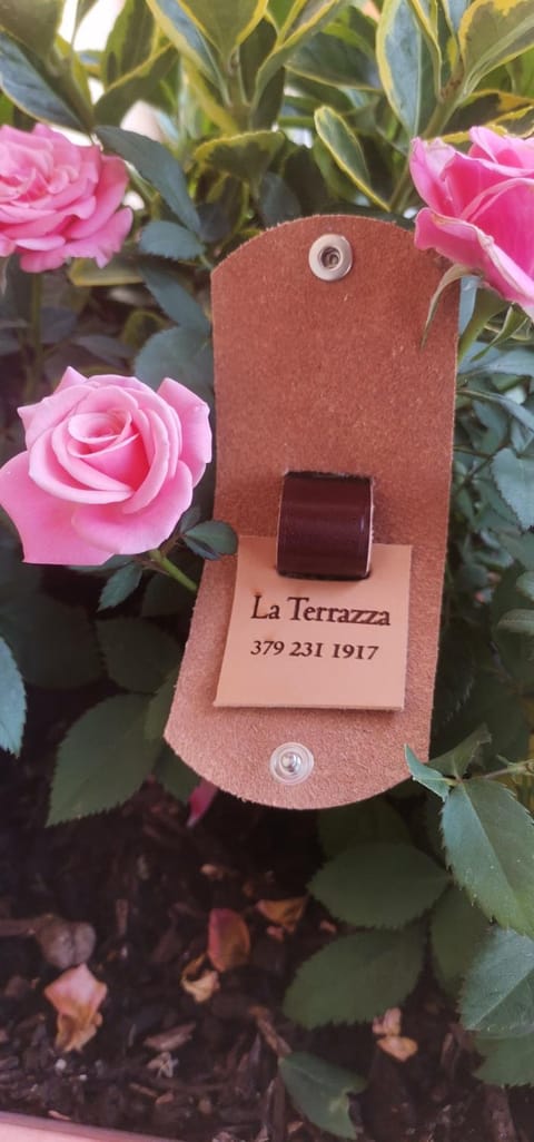 Logo/Certificate/Sign