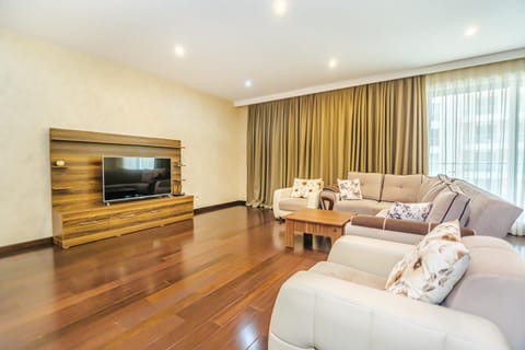 TV and multimedia, Living room
