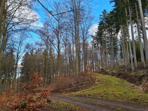 Spring, Day, Natural landscape, Hiking