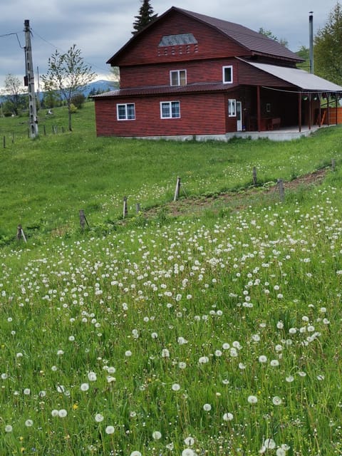 Property building, Spring, Day, Natural landscape, Garden, Garden view