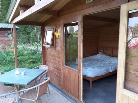 Bed, Day, Photo of the whole room, Bedroom