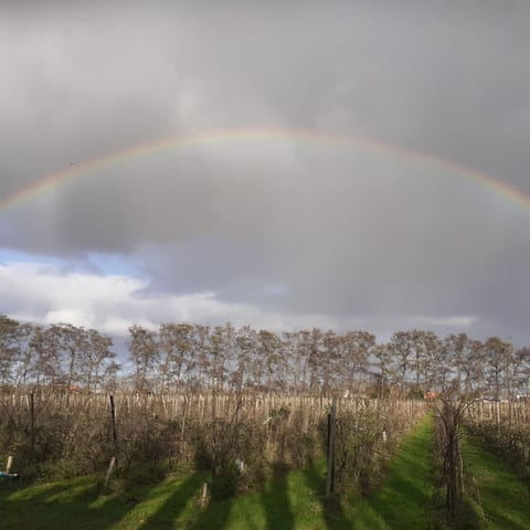 Day, Natural landscape