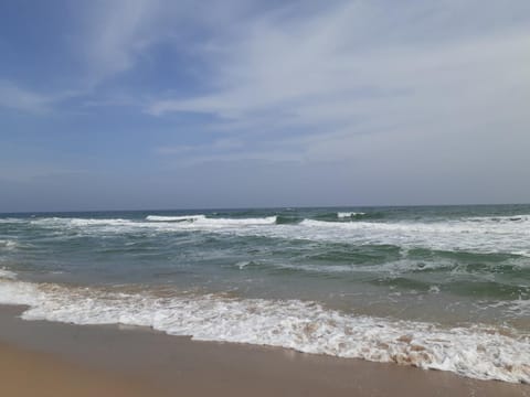 Natural landscape, Beach