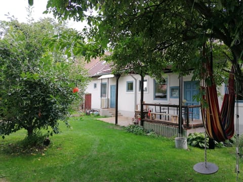 Property building, Garden, Garden view