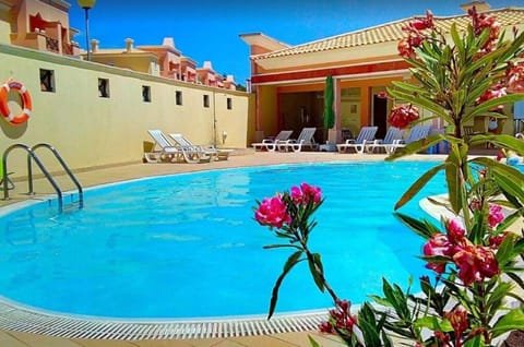 Day, Pool view, Swimming pool, sunbed