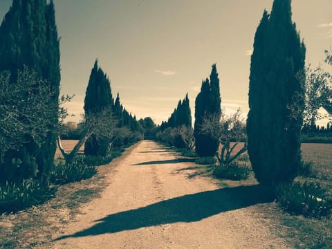 Atelier Benjaminte House in Graveson