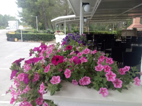 Pansion restoran Marin Bed and Breakfast in Šibenik-Knin County, Croatia