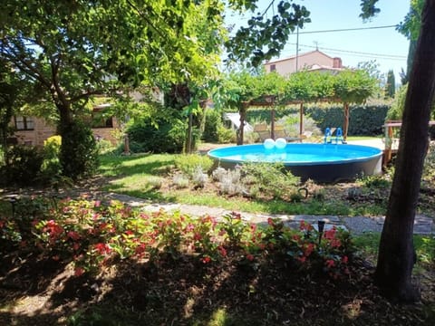 Garden, Garden, Swimming pool