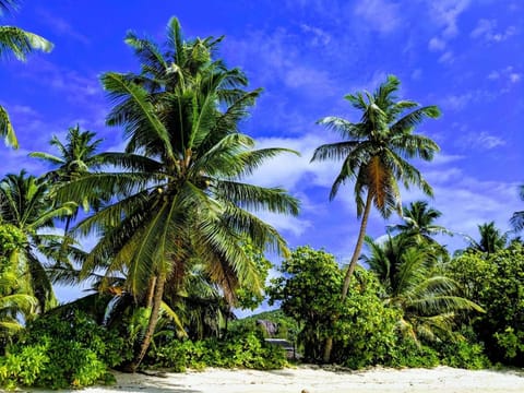 Nearby landmark, Natural landscape, Fishing, Snorkeling, View (from property/room), Beach, Landmark view, Sea view, Location