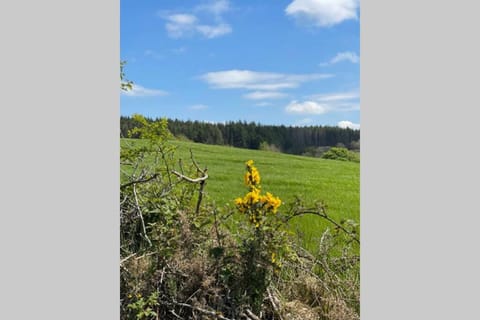 Mary-Jane’s Cottage House in County Donegal