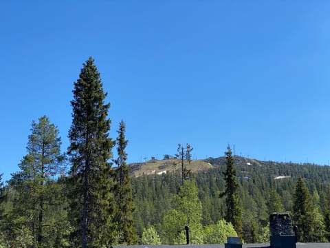 Rukan Villa Kelotar (Mountain view) Villa in Lapland