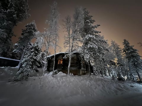 Rukan Villa Kelotar (Mountain view) Villa in Lapland
