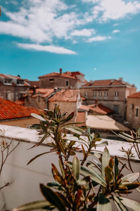 Villa Casa di Pietra - Budva Old town Apartment in Budva