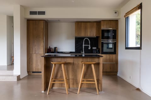 Kitchen or kitchenette, oven, stove