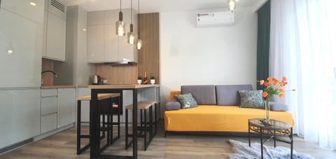Kitchen or kitchenette, Living room