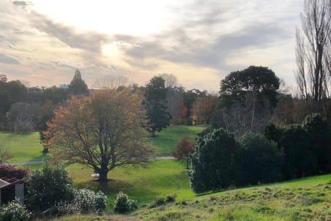 Natural landscape, Garden view