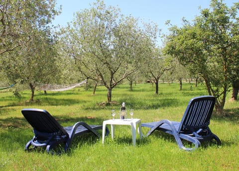 Oliven Garden Villa in Rovinj